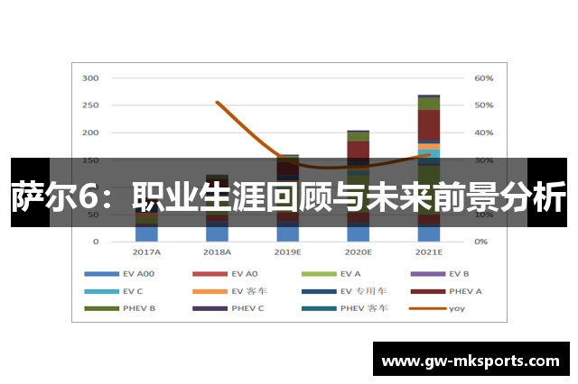 萨尔6：职业生涯回顾与未来前景分析